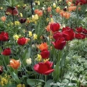 Meet your Posher, Debra